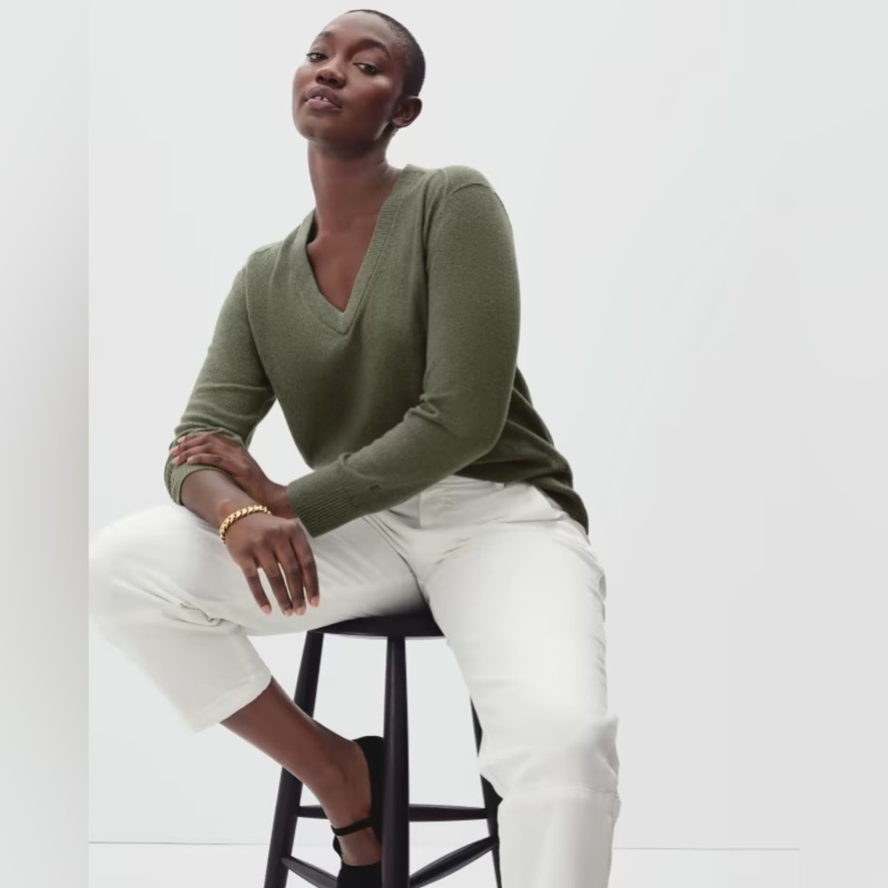Everlane Cashmere V-Neck Sweater
